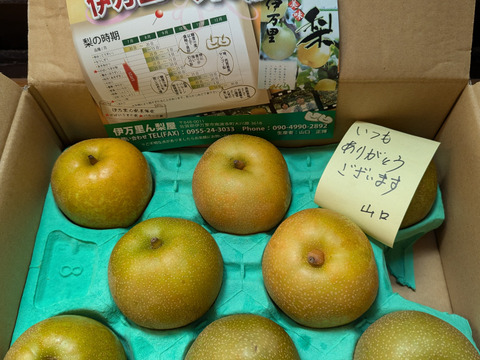 リサ様専用・3箱】幸水梨5kg☆大玉【8/18～23お届け分】