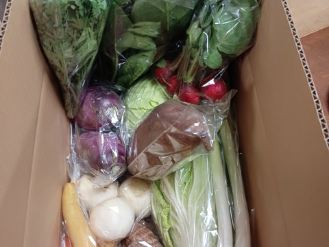 【7周年福袋】3000円福袋　温まる冬野菜でミネラル補充☆おまけ付きカラフル野菜セット