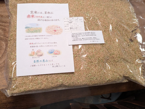 【令和７年産】農薬不使用　コシヒカリ　玄米　５kg