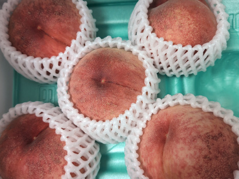 【嶺鳳・2kg程度】濃厚な甘みと食感が特徴のあかつき系希少品種