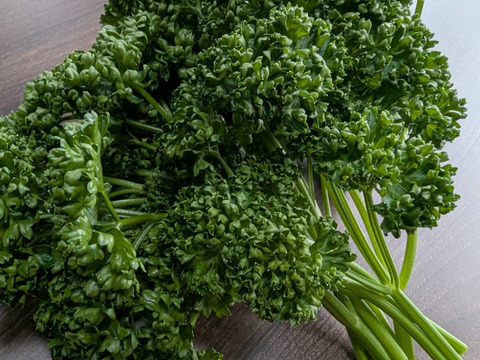 【200g】ふっくらクルクル！茨城県産カーリーパセリ！！