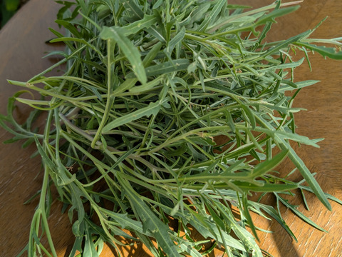 香り豊かなセルバチコ フレッシュ