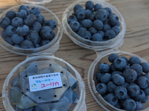 【パリｯ！プリｯ✨】ユーリカ
400g  間もなく終了