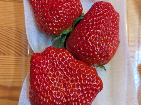 【ギフト最適】特大紅ほっぺ 200g×3p