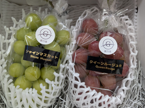 厳選】【クイーンルージュ×シャインマスカット】各500g前後、計2