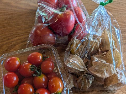 [全て自然栽培]甘い中玉トマト+ミニトマト+甘酸っぱいフルーツほおずきセット