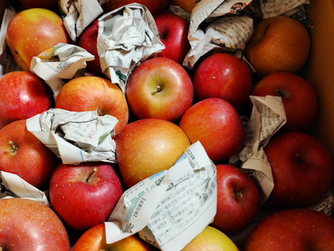 サンふじ★超お得!!加工用★無肥料.農薬節約30%〜.除草剤.摘果剤.摘葉剤不使用★【5kg】加工用/りんご