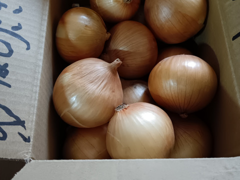 《自然栽培・食品ロス》淡路島産  人に優しい 旨味「玉ねぎ」 (晩生)２ kg
【2020年最優秀賞受賞／2022年SDG'sエバンジェリスト認定取得】