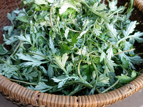 【クセになる香りと味わい！体の巡りを取り戻すデトックス！】体と心に沁み渡る豊かな香りと味わい！ブレンドハーブティーバッグ3包（植物由来ティーバッグ使用、農薬化学肥料不使用）ノンカフェイン