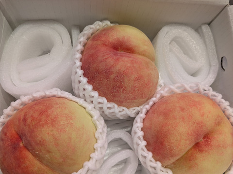 お楽しみ白桃1kg：福島県産の白桃｜食べチョク｜産地直送(産直)お