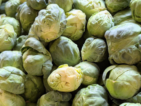 【福袋増量&割引(^^♪】双葉農園の芽キャベツ”（900g→1000g  10食分） （ちょっと割引　2580円→2500円）　【福袋】from 名水の里　神奈川県秦野市