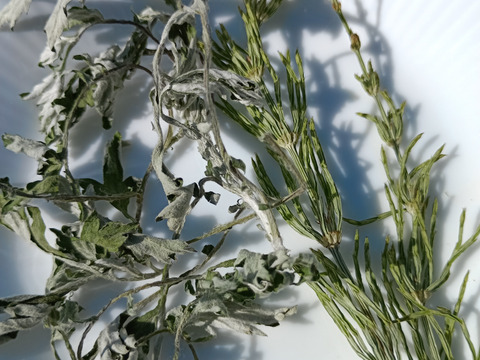 【クセになる香りと味わい！体の巡りを取り戻すデトックス！】体と心に沁み渡る豊かな香りと味わい！ブレンドハーブティーバッグ3包（植物由来ティーバッグ使用、農薬化学肥料不使用）ノンカフェイン