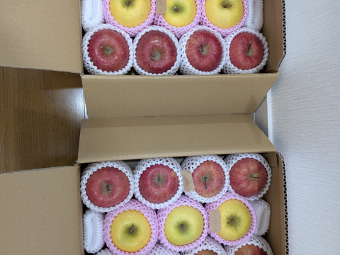 【2箱セット】ご自宅で気軽に食べたい方へ「旬のりんごおまかせ便」3キロ【りんご食べ比べ】