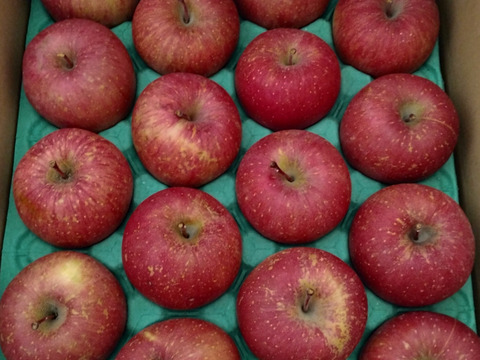 【王道サンふじ】　5㎏　13～20玉　本場青森りんご　農家直送　元気なりんご