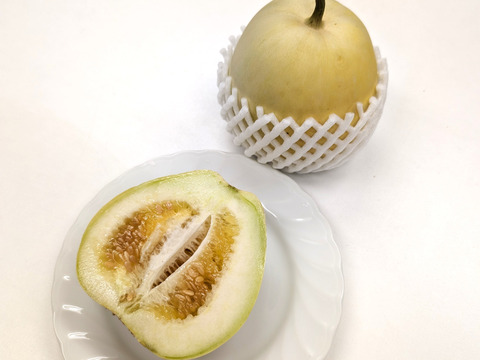 有機JAS 夢 旭メロン2㎏箱　京都府亀岡市の固定在来種
