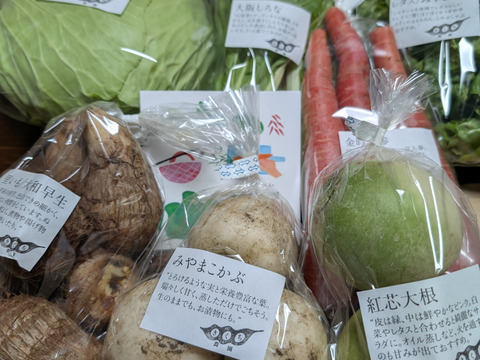 野菜セットＳサイズ（７品）【農薬・化学肥料・動物性堆肥｜不使用】