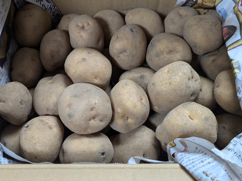 【「ニノさん」にて紹介されたお芋】訳ありじゃがいも　キタアカリ　10㎏