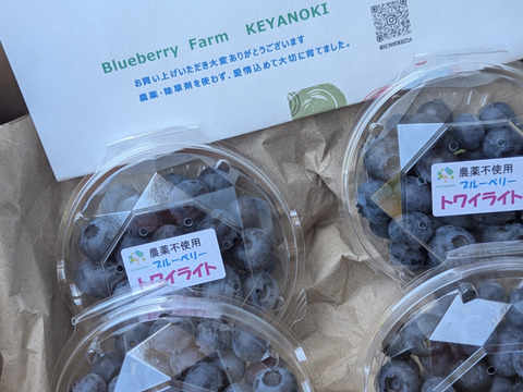 【パリｯ！プリｯ✨】トワイライト
400g