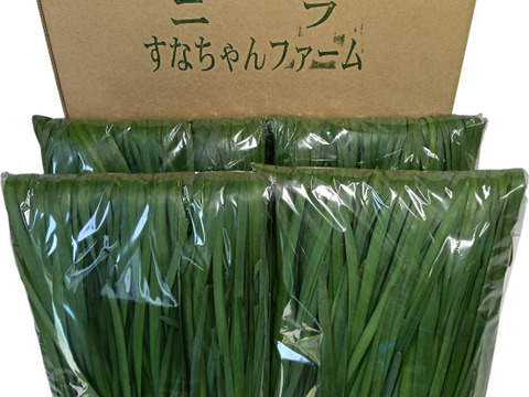 ニラ100g×10束セット(1キロ)