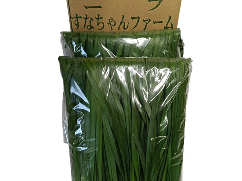 ニラ100g×10束セット(1キロ)