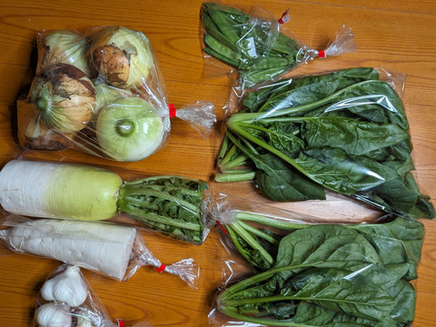 新玉ねぎ＆新にんにく入り！日常使い野菜5点セット【農薬化学肥料不使用】