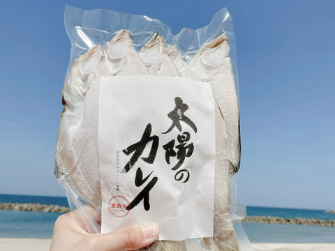 人気一夜干し3種セット