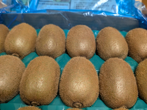 【2年連続受賞】下仁田町産キウイフルーツ（Lサイズ/18個入）