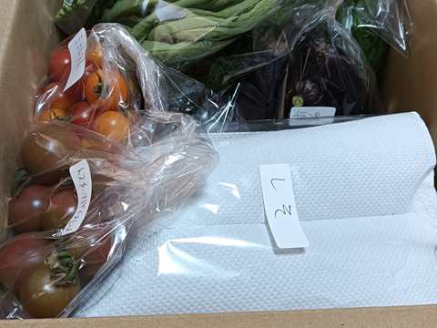 夏野菜ガチャ 10連