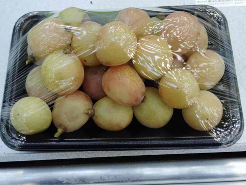 【訳あり】シナノスマイル １kg(500ｇ×2パック)【バラ粒】