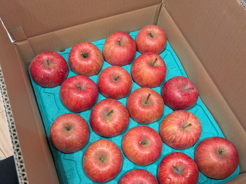 規格外サンふじ5キロ　14個から20個入