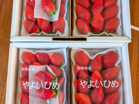🎶ちょっぴり小粒🎶やよいひめ『群馬いちご』320g×4トレー