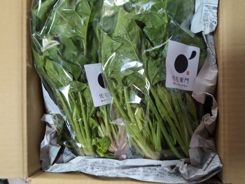 アクがなく下茹で不要！【ほうれん草】１kg