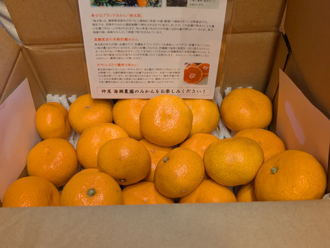 【アワード受賞】2/28より順次発送 高糖度系の本格貯蔵みかん『寿太郎』 サイズ混合 3kg 西浦ブランドみかん 仲屋 海瀬農園