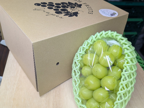 今が旬！スッキリ甘い　長野県産 「シャインマスカット」1kg