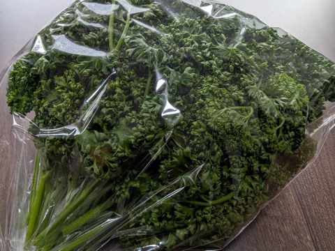 【200g】ふっくらクルクル！茨城県産カーリーパセリ！！