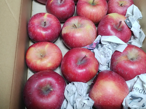 【今だけお買い得！訳あり★50%OFF★】家庭用葉とらずふじりんご3㎏【長野県産】