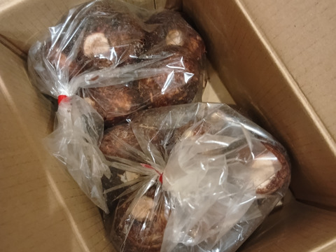 【農薬化学肥料不使用】やわらかい里芋2kg