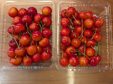 ◇1kg★名和果樹園の贈答用特秀紅秀峰大粒2L【常温便】山形県東根市産ギフトさくらんぼ【佐藤錦よりも甘い紅秀峰】★産地直送お取り寄せ通販★予約商品