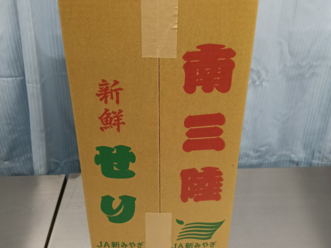 芽吹いたばかりで、柔らかく
香りが強いのが特徴の『春ぜり』
🌿南三陸町産のせり🌿　
３kg（２００g✕１５束入り）