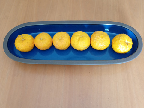 有機JAS認証　柚子（ゆず）2000g