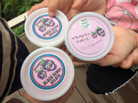 【身体整う】6個入　ブラックベリージェラート90ml
