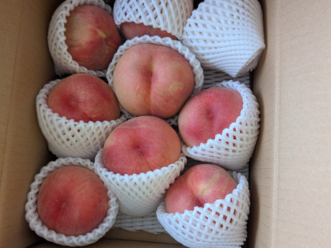 この時期でまだ楽しめる！ おどろき　2kg　ご家庭用　山形県産　6〜13玉入