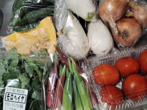 『朝採れ、シャキシャキ！お試し野菜』農園自慢の情熱野菜セット7品目★Sセット　１〜２人暮らし向け