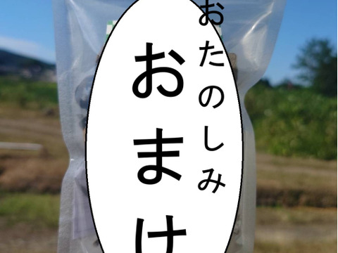 【福袋2025】高級 天然干し山菜セット 今だけ特別価格！ 干しぜんまい50ｇ 干しわらび50g うれしいおまけ付き♪なくなり次第終了！