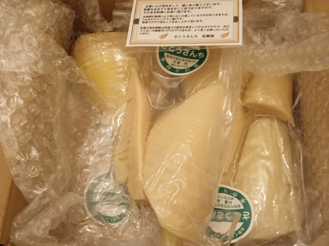 新鮮即茹で！静岡産やわらか筍水煮 (使いやすい150ｇの5個セット)