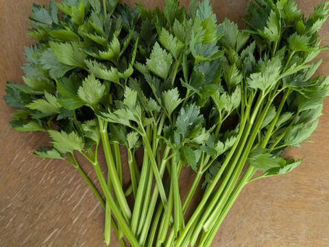 スープセロリ フレッシュ 100g