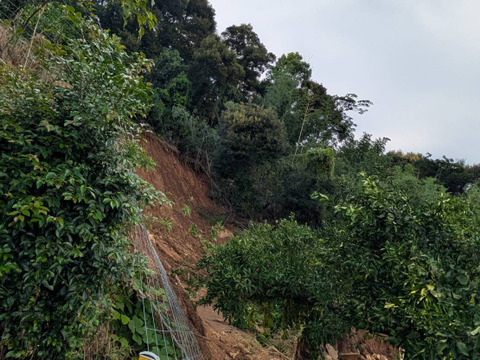 【1口5000円】令和7年8月 大雨による浸水害  生産者応援チケット
