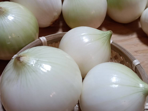 秋の自然栽培野菜LLセット7種類〜《12月、自然栽培野菜5.5kg前後80サイズ》朝採りで超新鮮［季節の固定種在来種専門農家だからできる］淡路島から初収穫固定種人参いり