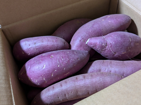 ねっとり極甘さつまいも！熟成紅はるか約2.5kg（s~2Lサイズ不揃い詰め合わせ）