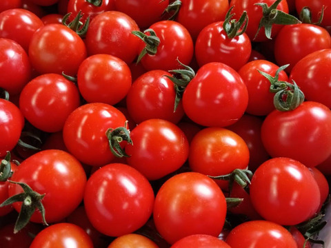 プチプチ食感！から紅のミニトマト